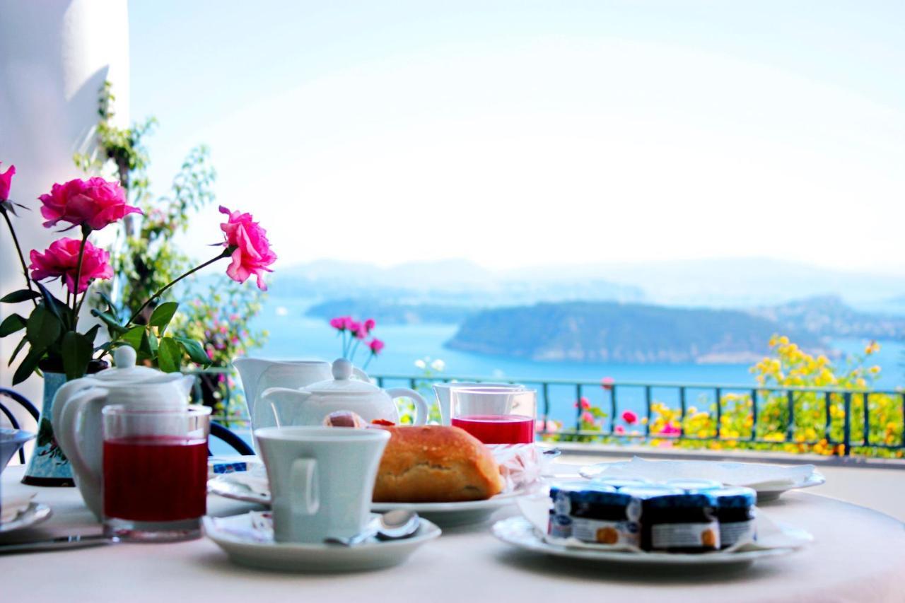 La Pergola Del Torchio Bed and Breakfast Ischia Eksteriør billede