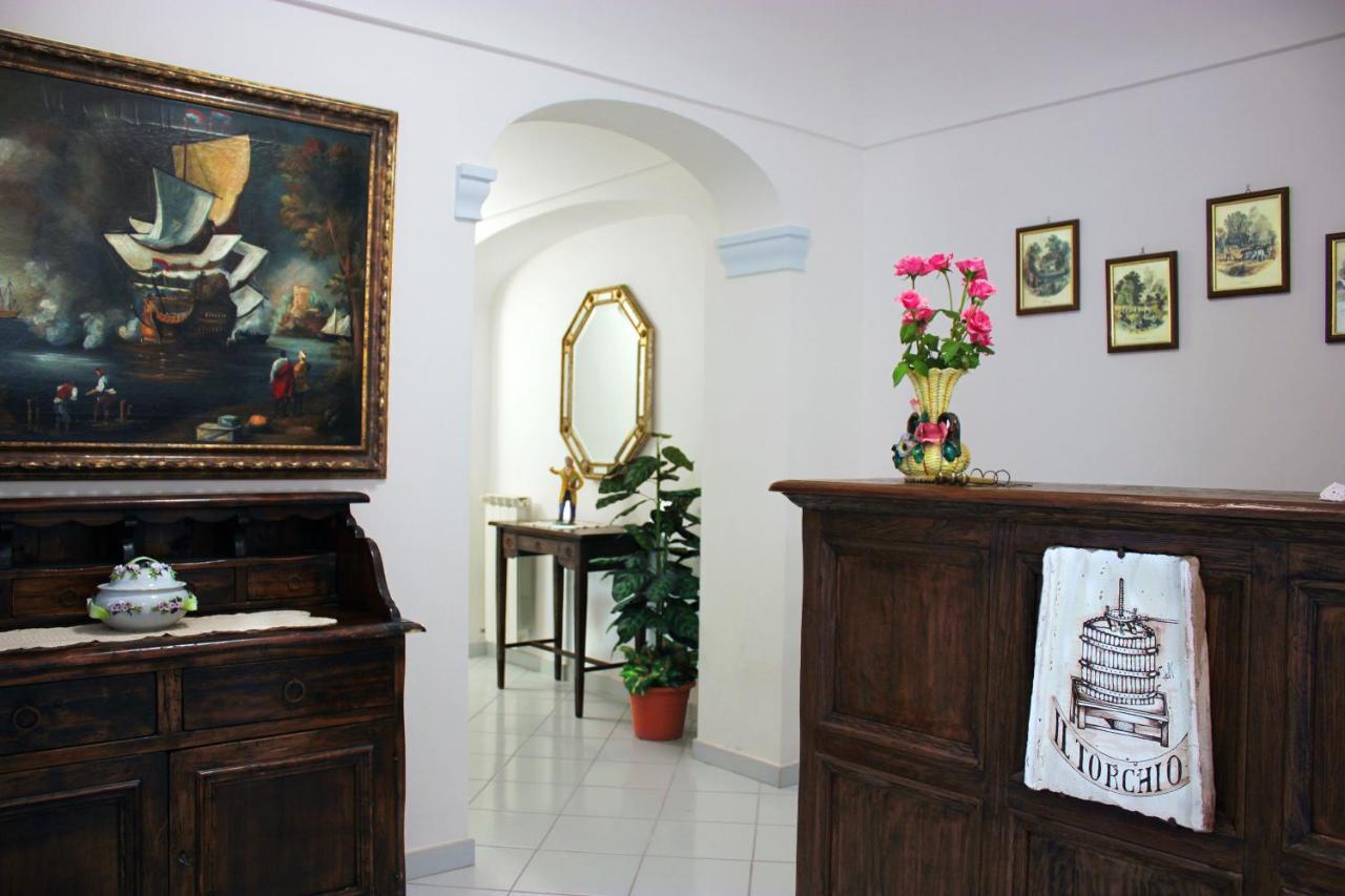 La Pergola Del Torchio Bed and Breakfast Ischia Eksteriør billede