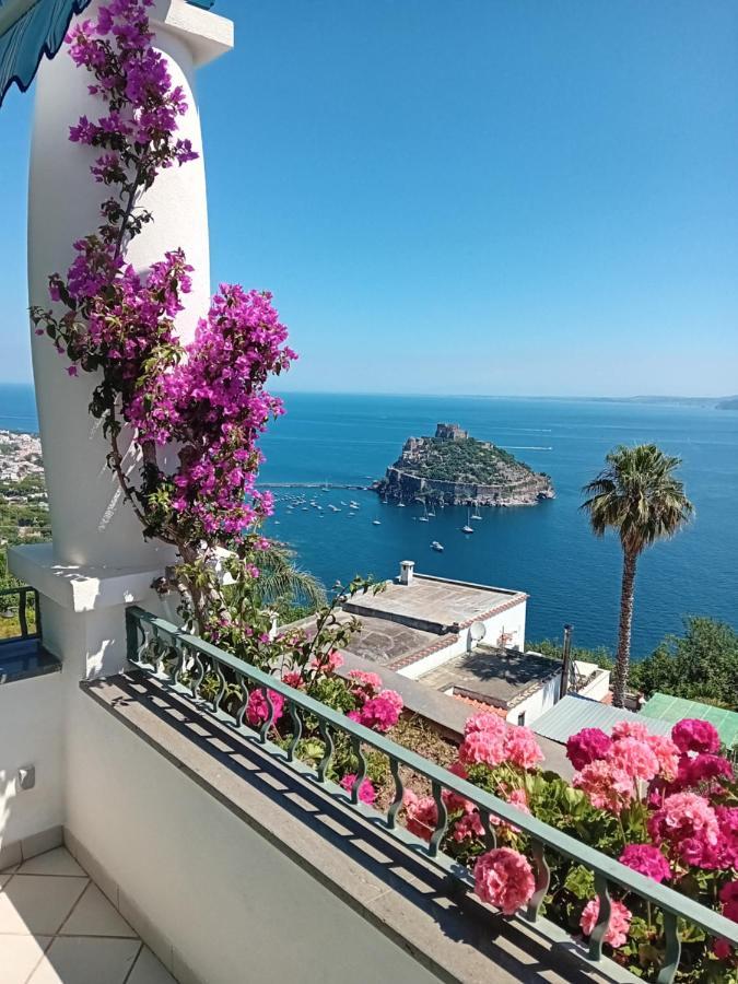 La Pergola Del Torchio Bed and Breakfast Ischia Eksteriør billede