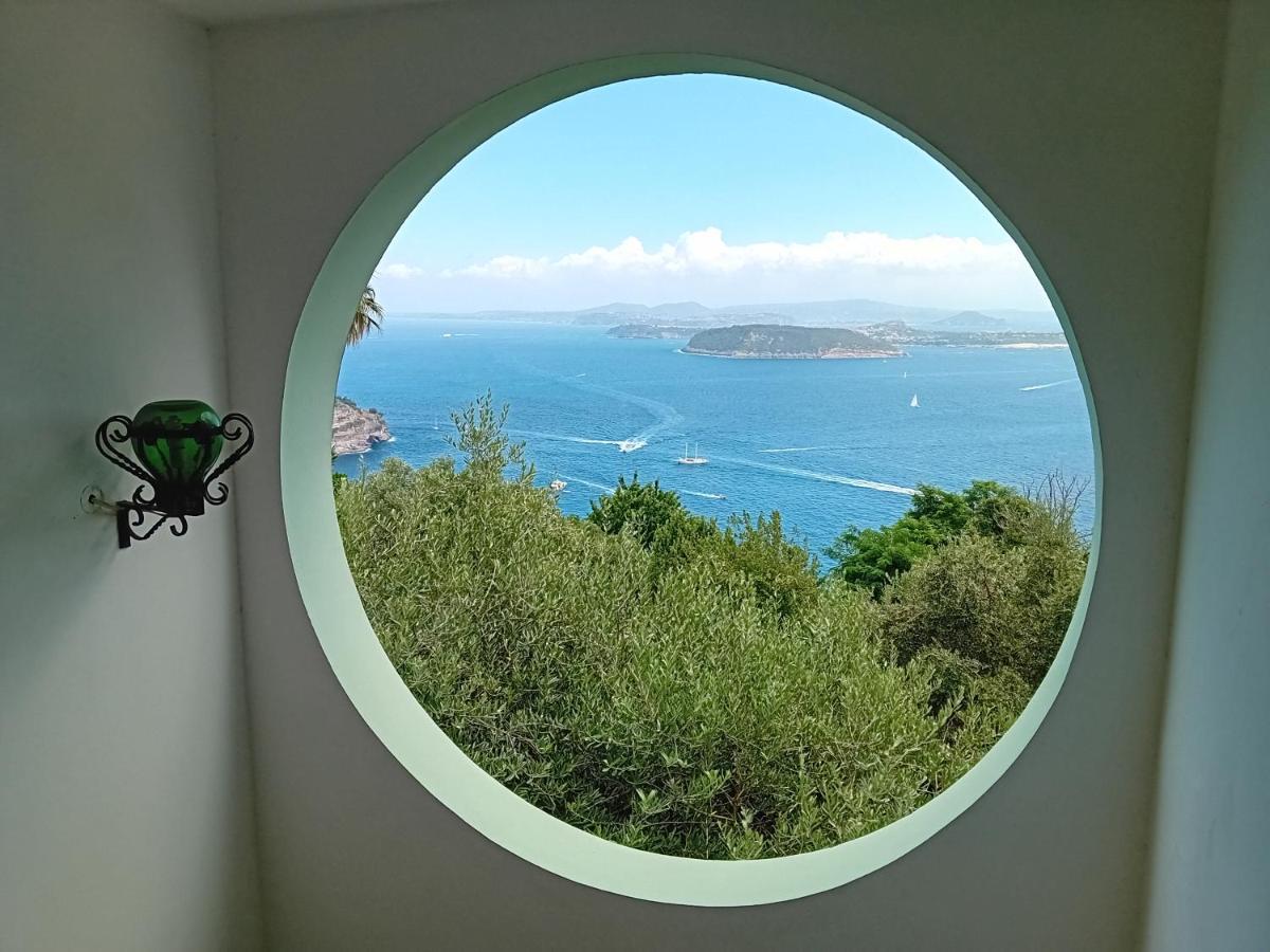 La Pergola Del Torchio Bed and Breakfast Ischia Eksteriør billede